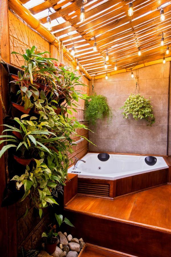 Casa Suculenta ,Monteverde Con Jacuzzi Privado Y Lavanderia Zewnętrze zdjęcie