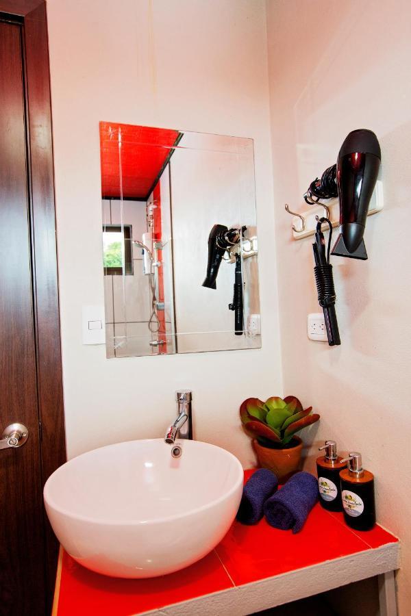 Casa Suculenta ,Monteverde Con Jacuzzi Privado Y Lavanderia Zewnętrze zdjęcie
